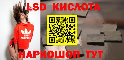 ПСИЛОЦИБИНОВЫЕ ГРИБЫ Кандалакша