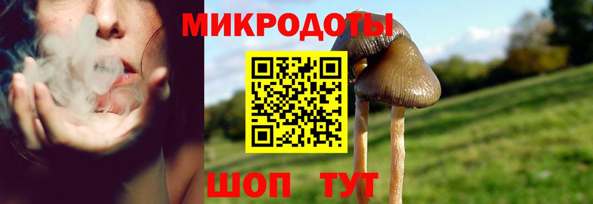 цены   Вход с VPN  Галлюциногенные грибы Magic Shrooms  Волгодонск  Псилоцибиновые грибы Psilocybe 